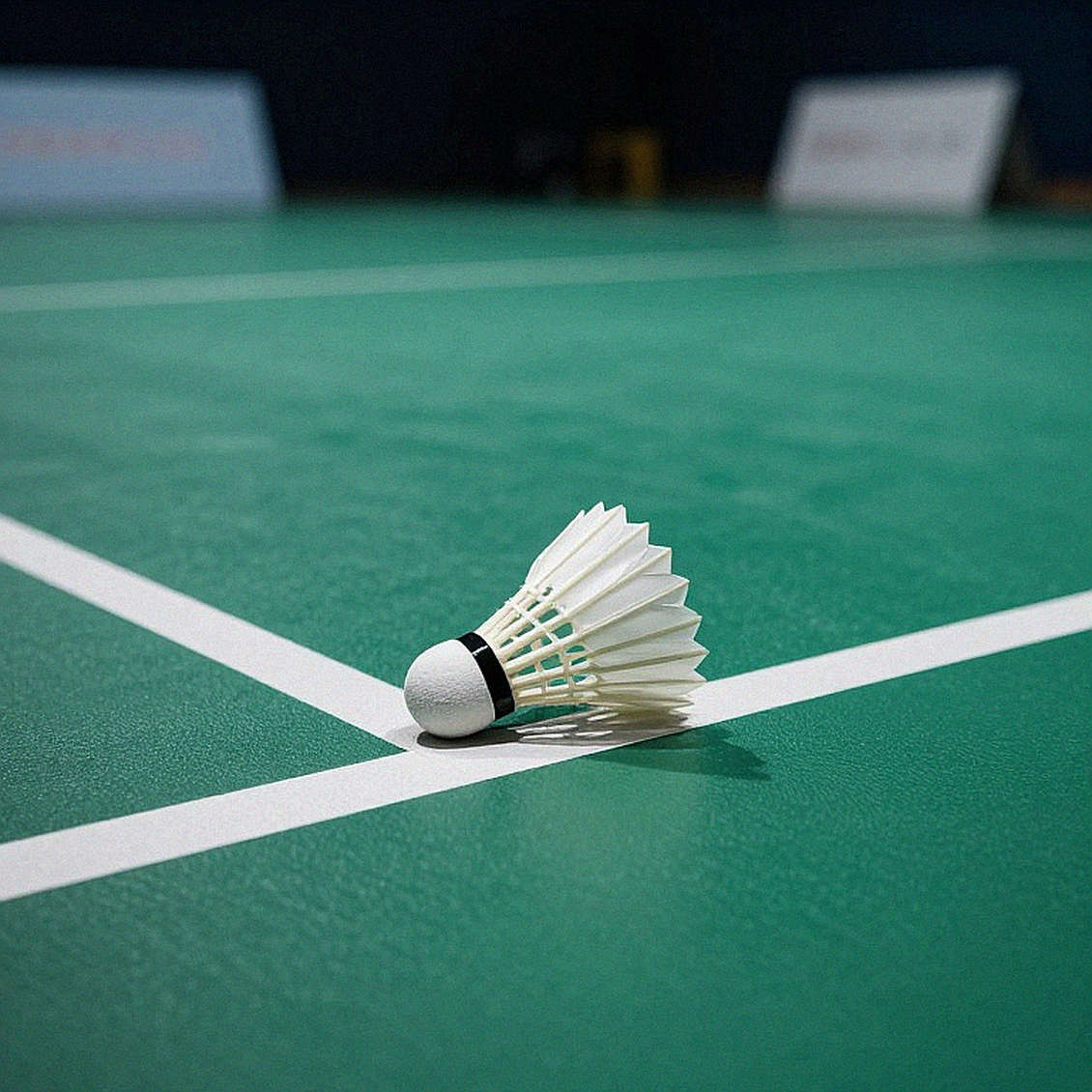 Sindhu's Fight, An Se Young's Grip: The Three-Game Story of the French Open Final